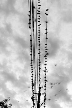 �齫����ϴ��ʱ������Ƶ���ڵ�3��ԭ��ͨ�����������������(ͼ)...